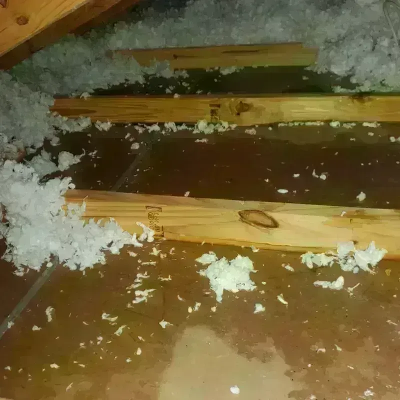 Attic Water Damage in Olmsted County, MN