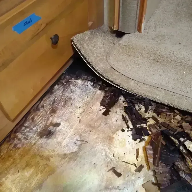 Wood Floor Water Damage in Olmsted County, MN